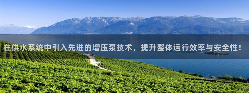 qy球友会体育官网下载