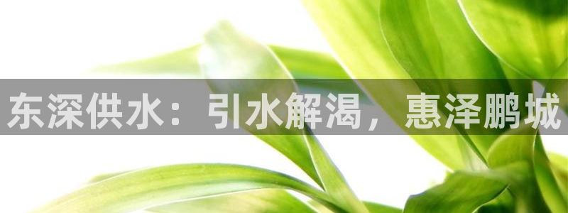 球友会app官方网站下载
